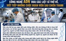 Bình Yên Giữa Cuộc Sống: Trách Nhiệm Của Người Cựu Chiến Binh