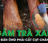 Cảnh Báo Về Tình Hình Pháp Lý Của Huấn Hoa Hồng