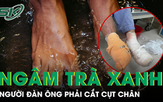 Cảnh Báo Về Tình Hình Pháp Lý Của Huấn Hoa Hồng