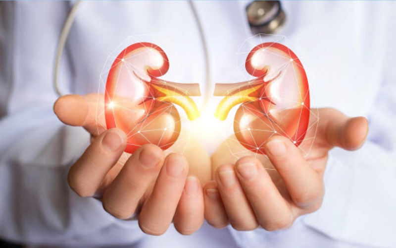 Bệnh Thận Mạn: Khi Nào Cần Sử Dụng Statin để Bảo Vệ Tim Mạch?