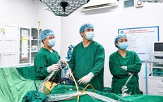 Sốt Xuất Huyết Tại Hà Tĩnh: Diễn Biến và Biện Pháp Phòng Ngừa