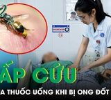 Nỗ Lực Giải Cứu Thuyền Viên Mất Liên Lạc Trên Biển: Câu Chuyện Đầy Kịch Tính