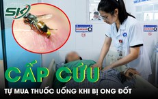 Nỗ Lực Giải Cứu Thuyền Viên Mất Liên Lạc Trên Biển: Câu Chuyện Đầy Kịch Tính