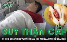Bi kịch khi người phụ nữ bị ong vò vẽ tấn công dẫn đến tử vong