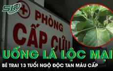 Khám Phá Quy Trình Tầm Soát Bệnh Tim Mạch Để Bảo Vệ Sức Khỏe