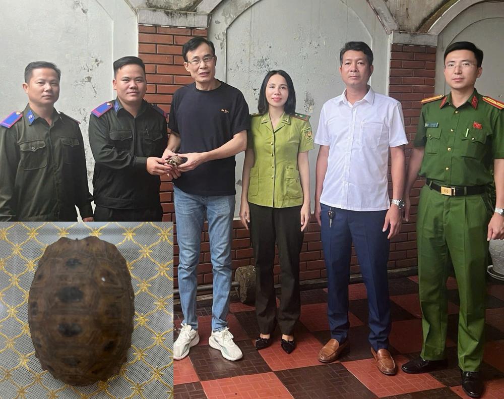 Khi Người Dân Bảo Vệ Động Vật Hoang Dã: Câu Chuyện Giao Nộp Rùa Núi Vàng Ở Thạch Hà