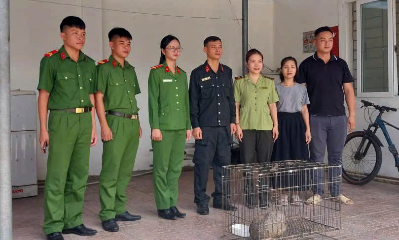 Cá Thể Tê Tê Quý Hiếm Nặng Gần 7 Kg Được Phát Hiện Tại Nghệ An