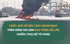 Khám Phá Công Dụng Tuyệt Vời Của Một Loại Lá Gần Gũi Trong Vườn