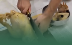 Những Thời Điểm Vàng Trong Ngày Để Tái Tạo và Thải Độc Gan