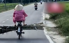 Câu Chuyện Đau Lòng Về Bệnh Dại: Tại Sao Chúng Ta Cần Cảnh Giác?