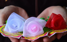 Lời sau cùng trước giờ nghị án: nhìn lại khoảnh khắc cảm xúc của Chi Dân, An Tây và Trúc Phương