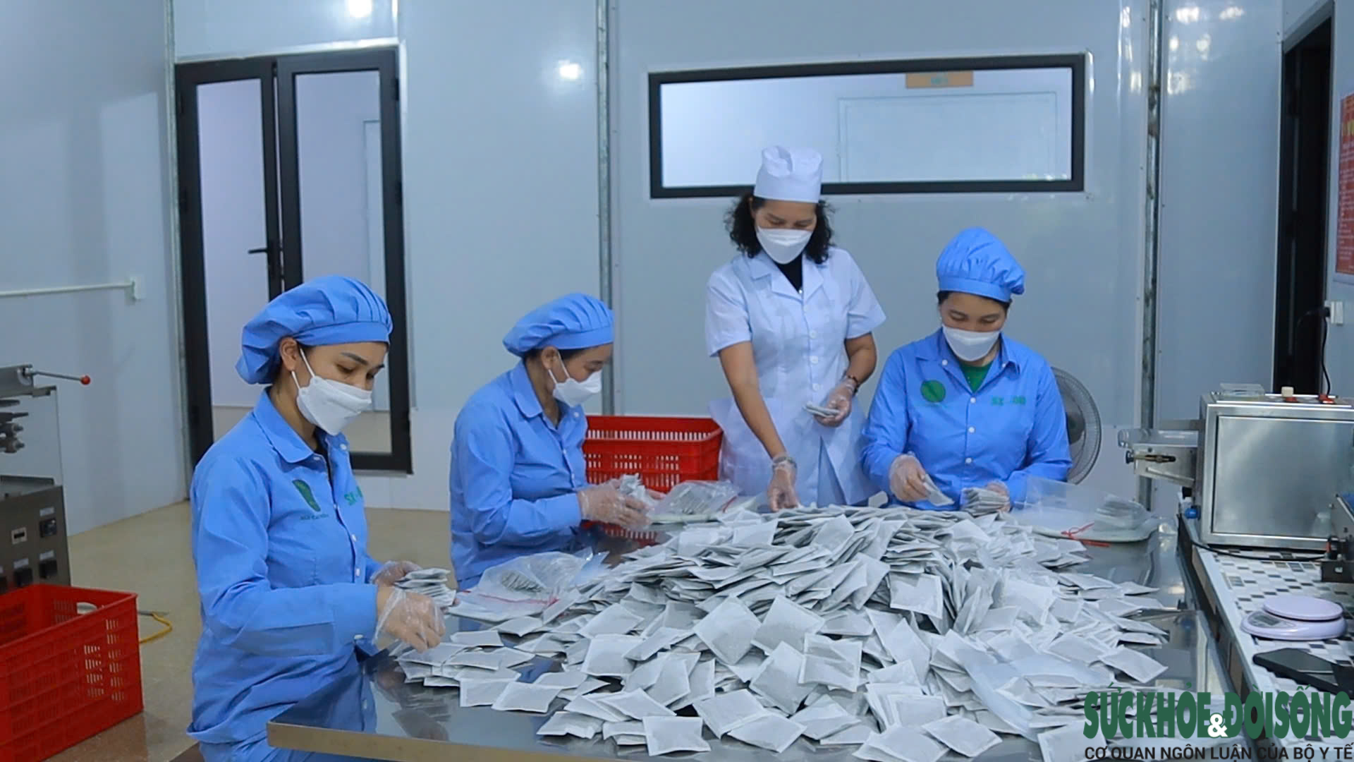 base64-17866731399941310305427 Nghệ An loay hoay nâng giá trị cây dược liệu- Ảnh 5.