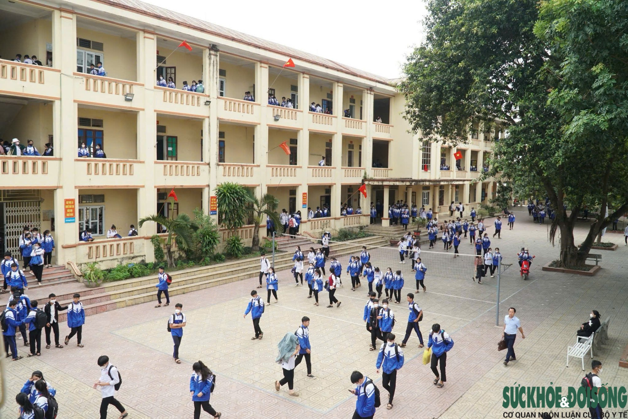 Nghệ An tái cấu trúc mạng lưới trường học: mục tiêu, lộ trình và hệ quả với học sinh – giáo viên