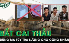 Hành Động Đáng Khen Của Người Dân Trả Lại Rùa Núi Vàng Quý Hiếm