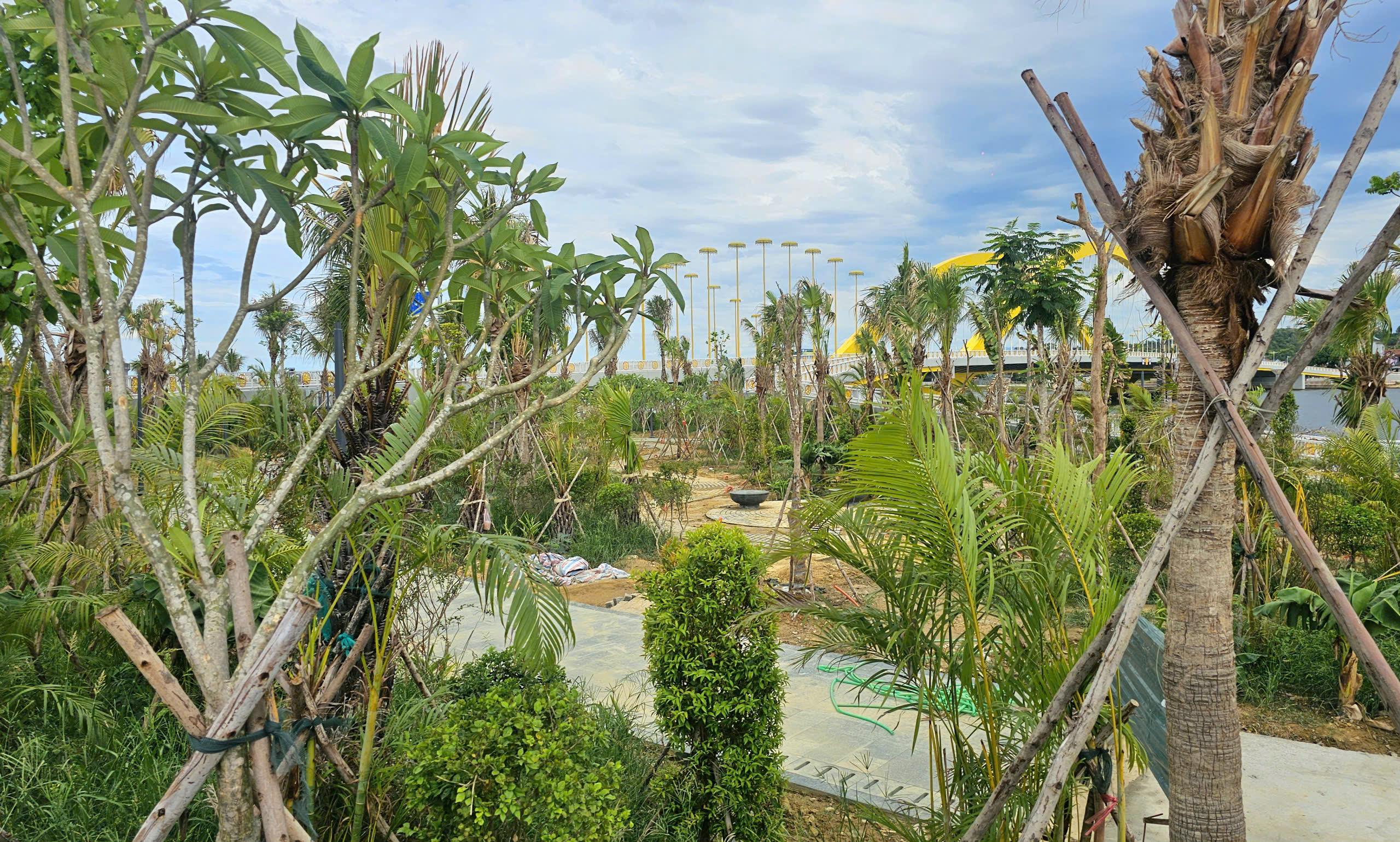 Dự án chỉnh trang bờ sông Hương - Ảnh 3.