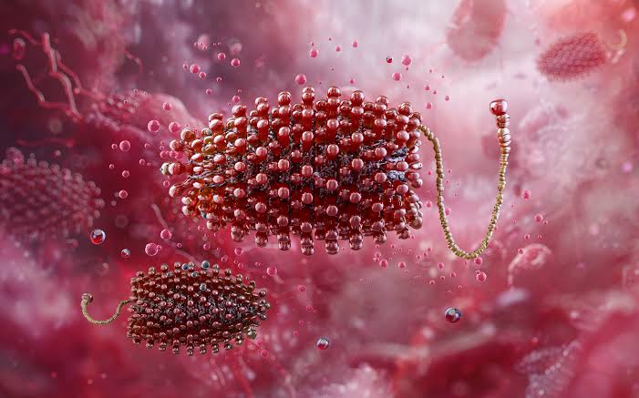 Đề Phòng Virus Chandipura: Đặc Điểm và Khuyến Cáo Cho Trẻ Em