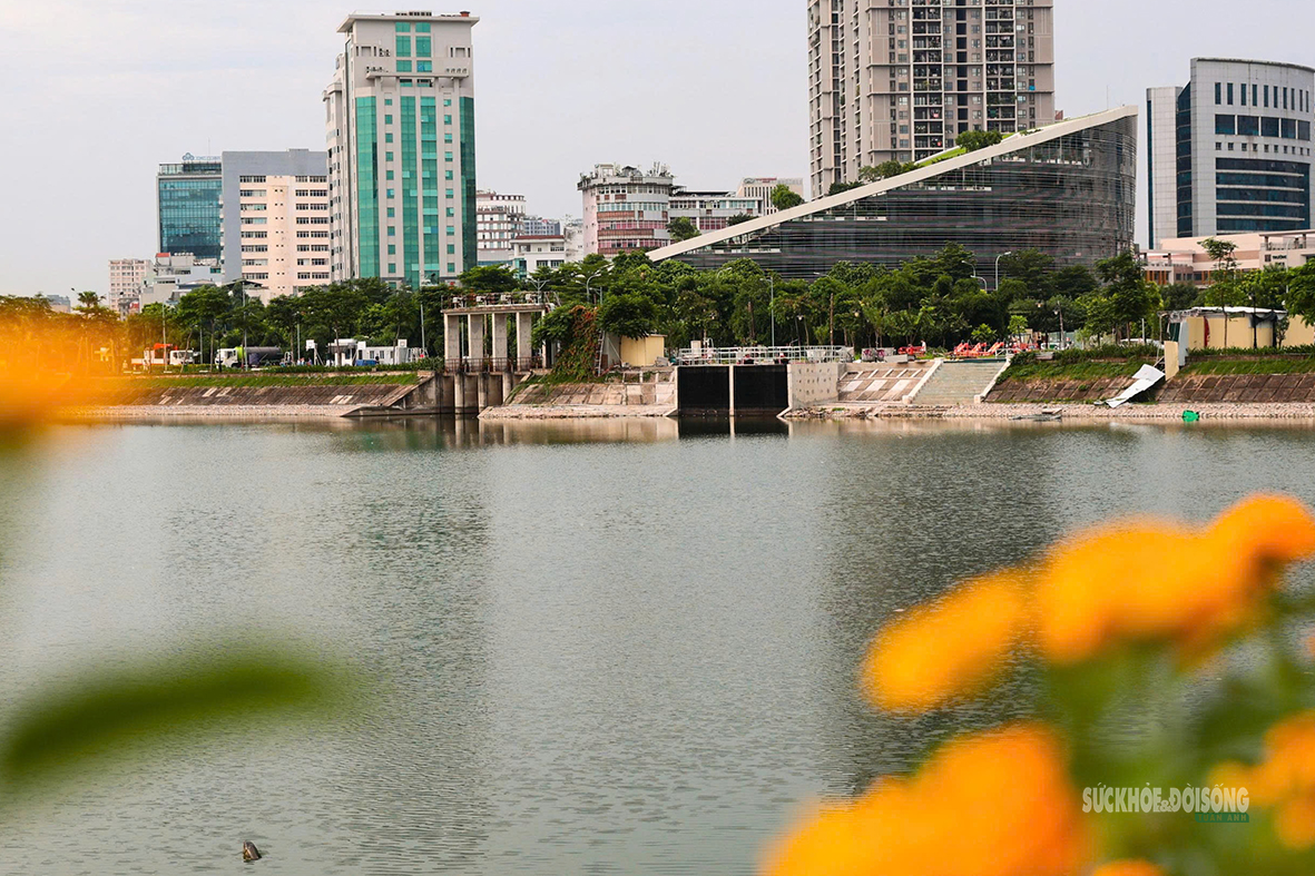 Cải Tạo Công Viên An Hòa: Nơi Gặp Gỡ Thể Dục Mới Cho Cư Dân