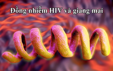 Giải Pháp Tăng Cường Sinh Lý An Toàn Cho Nam Giới
