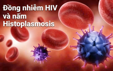 Khám Phá Mối Liên Hệ Giữa Virus HPV và Nguy Cơ Ung Thư