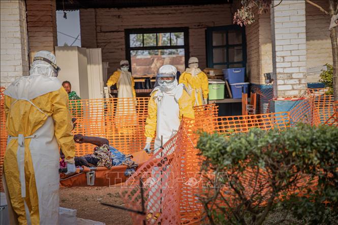 Tình Hình Dịch Ebola Tại CHDC Congo: Cơ Hội và Thách Thức Trong Công Tác Kiểm Soát