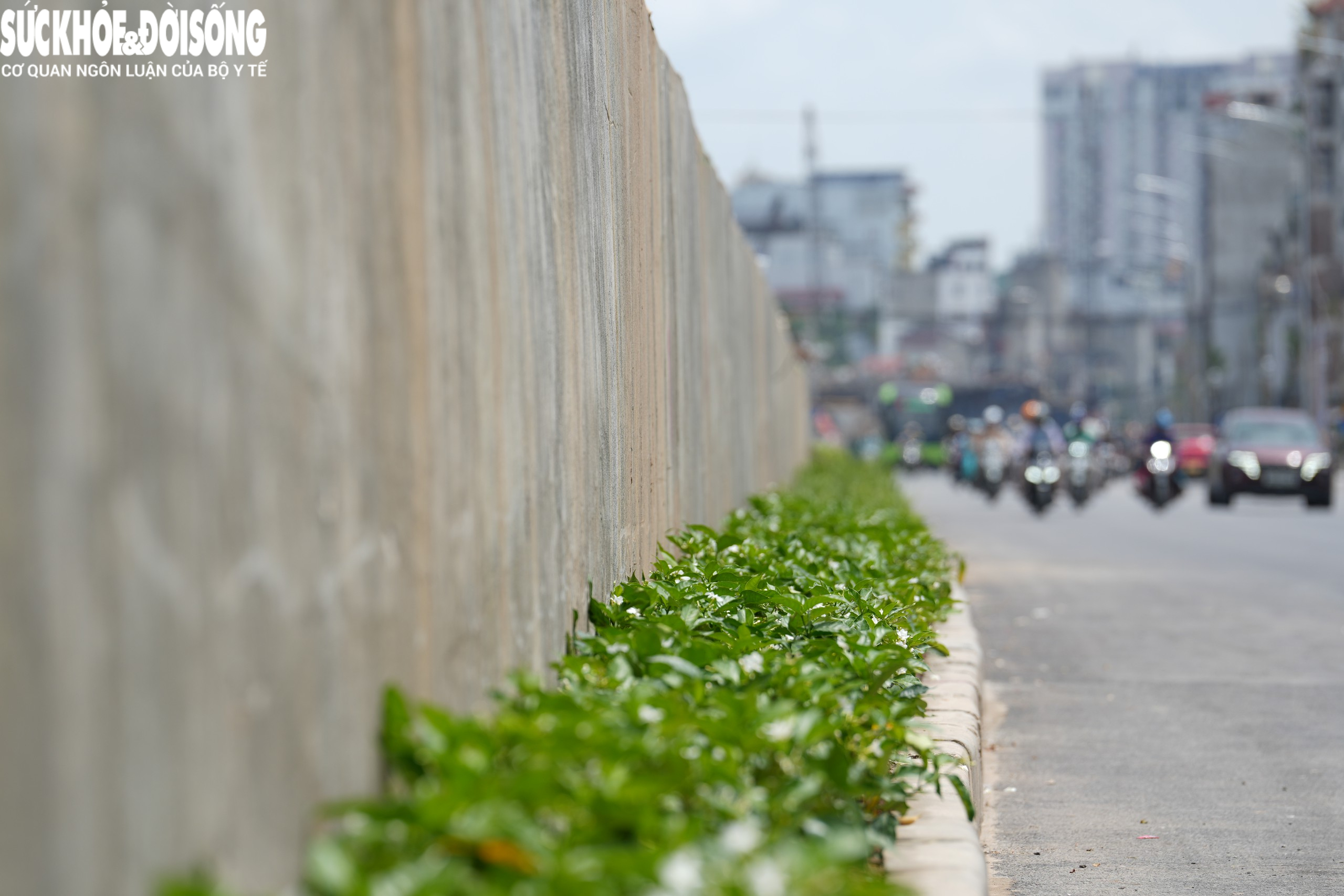 edit-hcn06204-17881073554361299611558 Vành đai 1 tháo dỡ rào chắn trước ngày thông xe kỹ thuật 2/9- Ảnh 10.