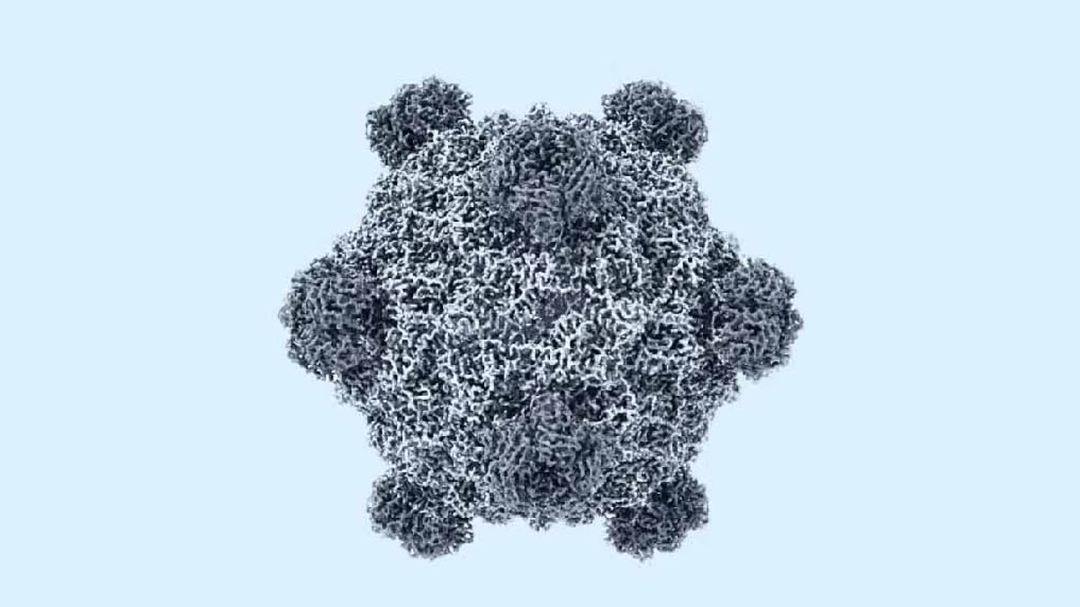 Mỹ tạo 16 loại virus chưa từng có ngoài tự nhiên bằng AI- Ảnh 1.