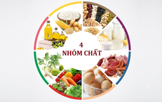 Khám Phá Những Thực Phẩm Giàu Magie Để Cải Thiện Sức Khỏe Tim Mạch