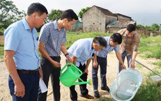 Cảnh Báo Về Viêm Ruột Thừa: Ba Trẻ Nhập Viện Vì Tự Điều Trị Sai Cách