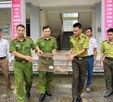Cao tốc La Sơn – Hòa Liên nâng lên 4 làn: hiện trạng, rủi ro và lộ trình hoàn thiện