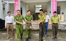 Cao tốc La Sơn – Hòa Liên nâng lên 4 làn: hiện trạng, rủi ro và lộ trình hoàn thiện