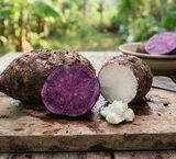 Tại Sao Hệ Tiêu Hóa Quan Trọng Đối Với Sự Phát Triển Của Trẻ Em?