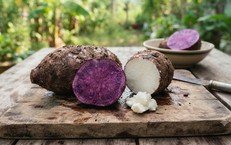 Tại Sao Hệ Tiêu Hóa Quan Trọng Đối Với Sự Phát Triển Của Trẻ Em?