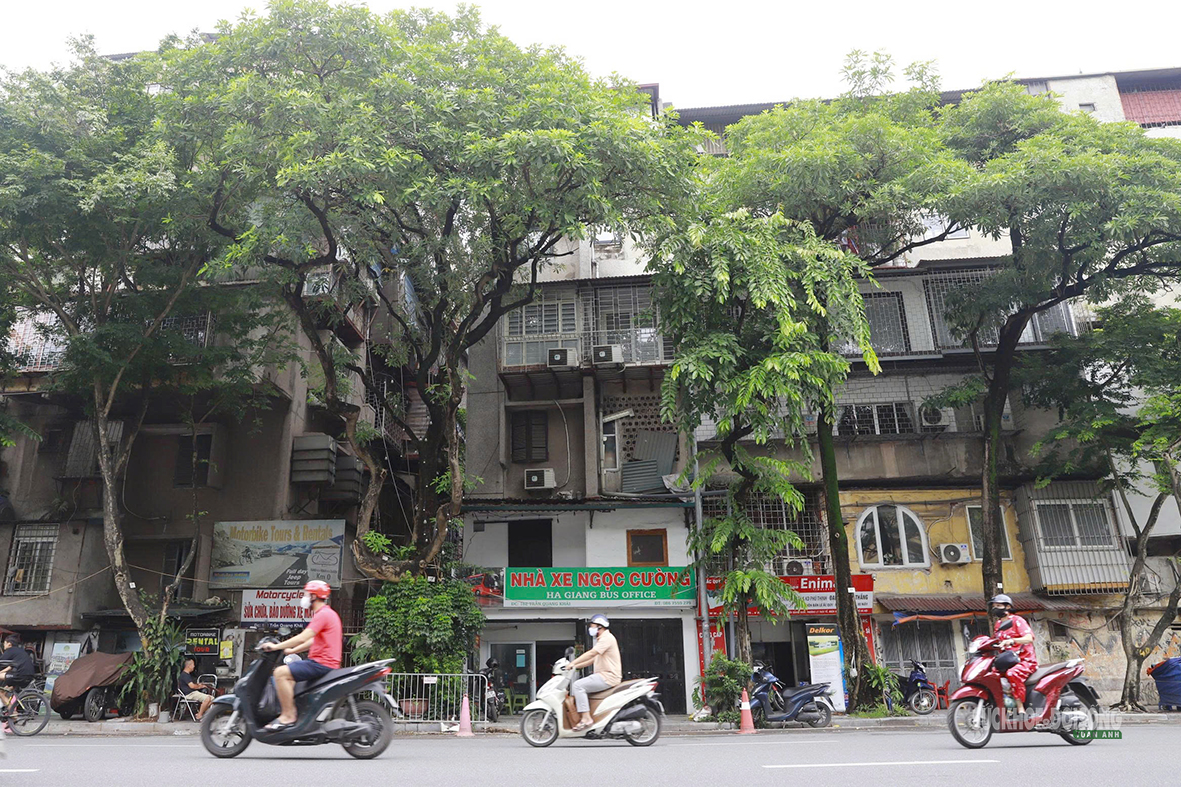 Cải Tạo Khu Tập Thể 23 Hàng Tre: Hướng Đến Tương Lai Mới Tại Hà Nội