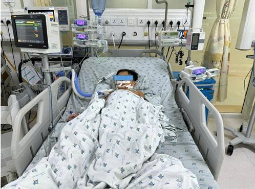 Nguy Cơ Ngộ Độc Thực Phẩm: Khi Ăn Thịt Chuột Gây Hại Đến Trẻ Em