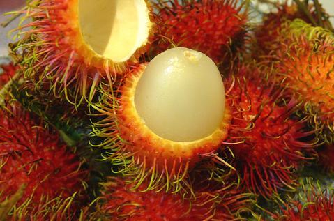 Lợi ích sức khỏe của quả chôm chôm - Ảnh 2.