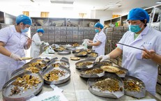 Bảo Hiểm Y Tế: Đóng Góp Đáng Kể Trong Chăm Sóc Sức Khỏe Cộng Đồng