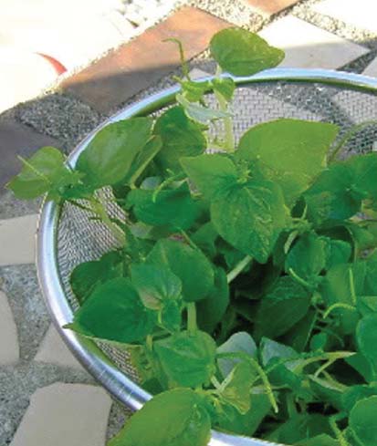 7 Công Thức Món Ăn Từ Rau Càng Cua Giúp Tăng Cường Sức Khỏe - Ảnh 4.