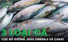 Khám Phá Lợi Ích Từ Nước Chanh Gừng Cho Sức Khỏe
