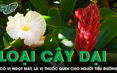 Nguy Cơ Từ Các Loại Thịt Thường Gặp: Câu Chuyện Cảnh Giác Từ Một Người Đàn Ông 70 Tuổi