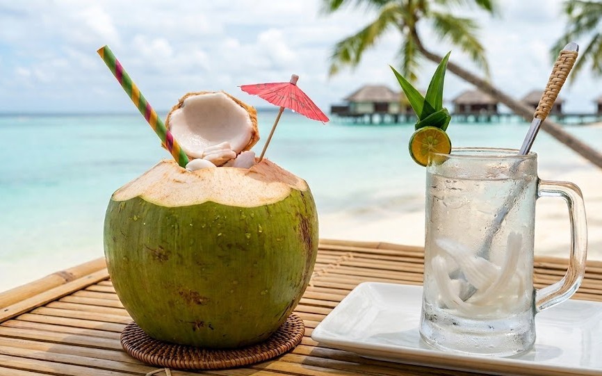 Sốt xuất huyết ăn gì để nhanh hồi phục? Gợi ý thực đơn cho từng ngày - Ảnh 2.