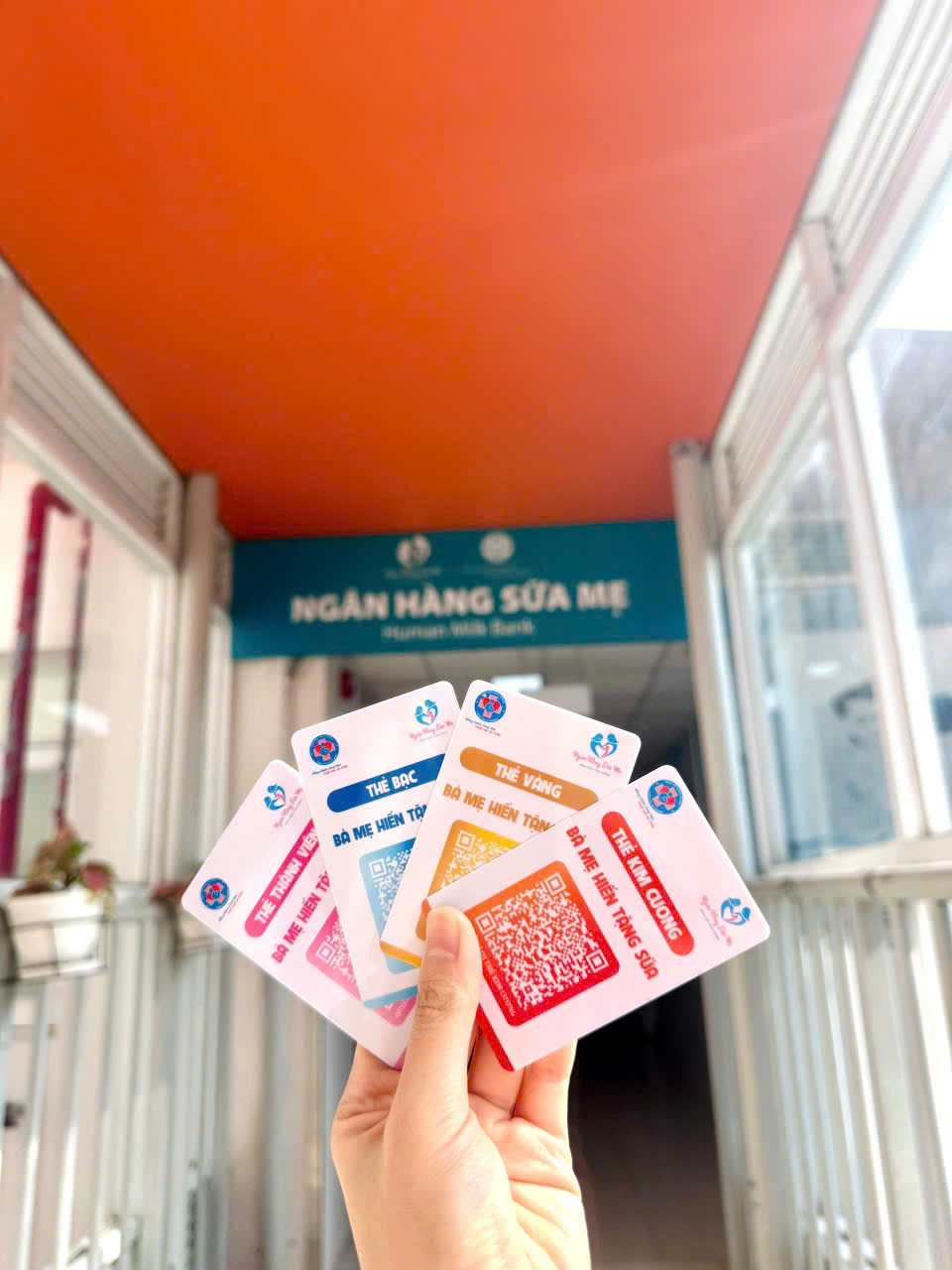 Giải Đáp Những Hoài Nghi Về Sữa Mẹ: Chuyên Gia Võ Thị Ngọc Diệp Nói Gì?