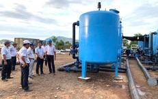 Cảnh Báo Giá Dừa Cao Ngất Ngưởng Tại TPHCM: Công An Vào Cuộc Xác Minh