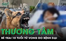 Cảnh Báo Về Viêm Ruột Thừa: Việc Cần Làm Để Bảo Vệ Con Trẻ