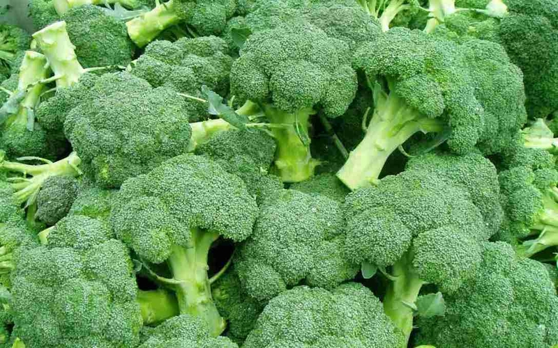 Khám Phá Các Nhóm Thực Phẩm Giúp Kiểm Soát Acid Uric Và Bệnh Gout