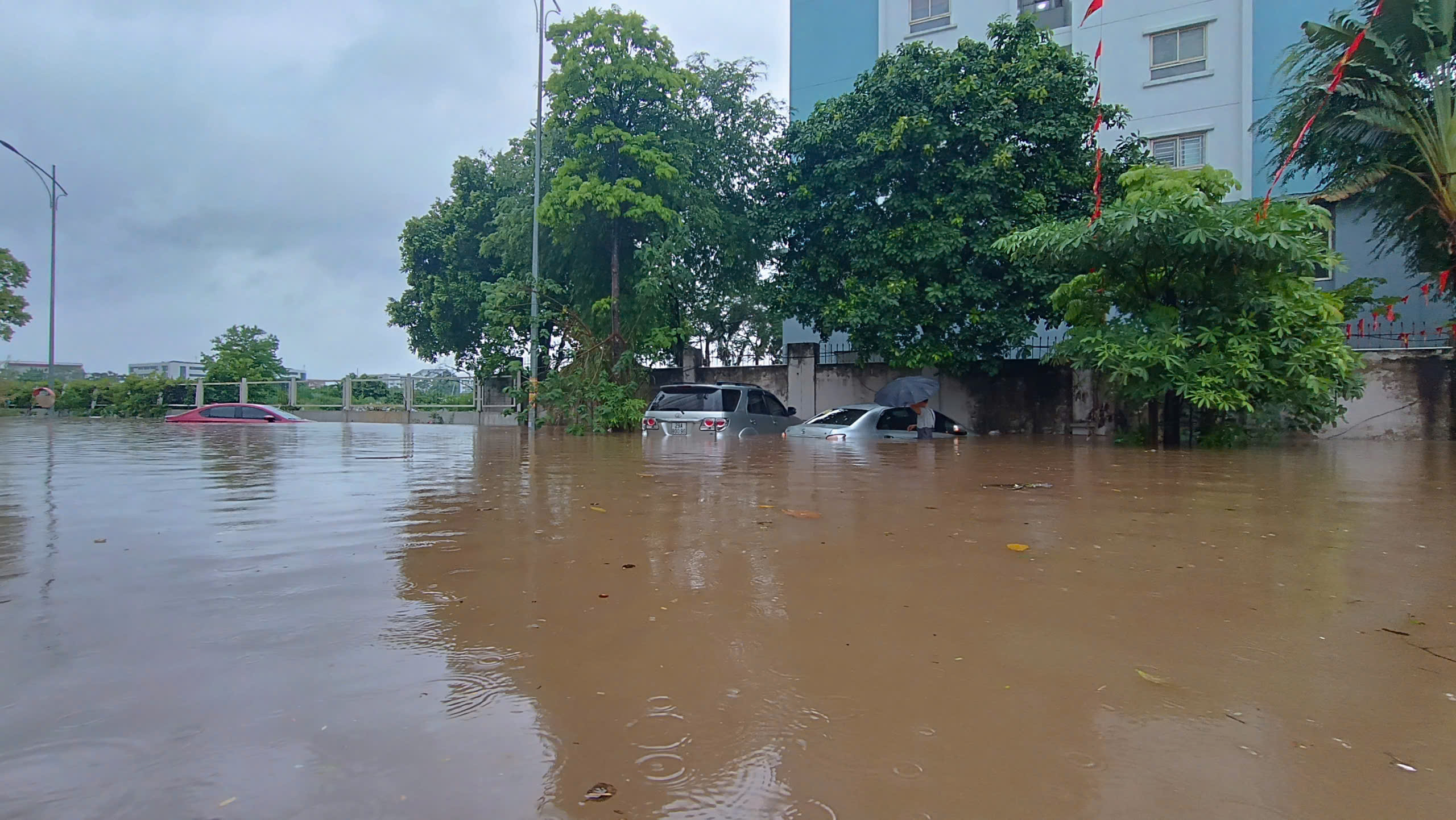 Cảnh Báo Mưa Lớn Tại Miền Bắc: Nguy Cơ Thiên Tai Gia Tăng