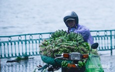 Ngân Hàng Cần Hành Động Giảm Lãi Suất Để Đảm Bảo Tăng Trưởng Kinh Tế