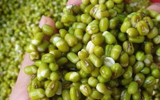 Những thực phẩm làm giảm hấp thu sắt và cách điều chỉnh dinh dưỡng hợp lý