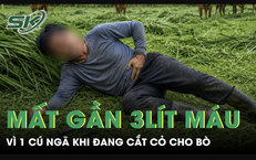 Video chăm sóc sức khỏe: Cách xem, đánh giá và áp dụng an toàn
