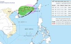 Kỷ Niệm 81 Năm Ngày Quốc Khánh Việt Nam: Điện và Thư Chúc Mừng Từ Các Nước Bạn