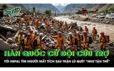 Thủ tướng Chỉ Đạo Xem Xét Chính Sách Hỗ Trợ Học Sinh Thông Qua Lời Kêu Gọi Từ Hiệu Trưởng